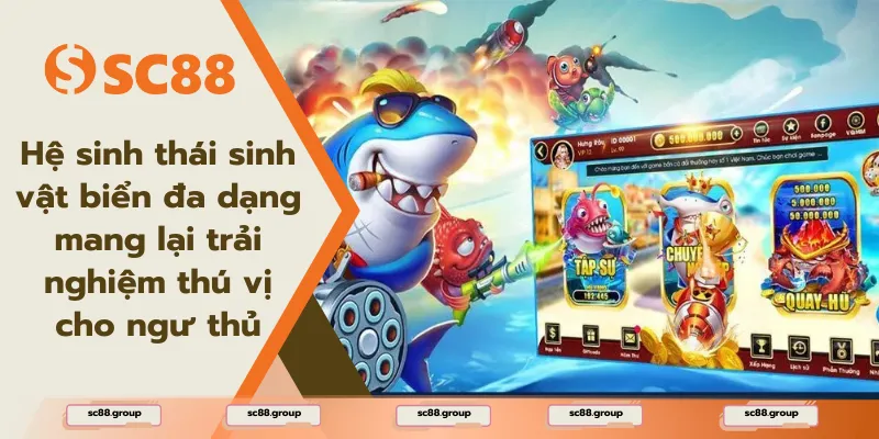 Hệ sinh thái sinh vật biển đa dạng mang lại trải nghiệm thú vị cho ngư thủ